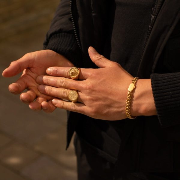 Lion Ring (Gold) - Image 4