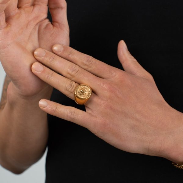 Lion Ring (Gold) - Image 5